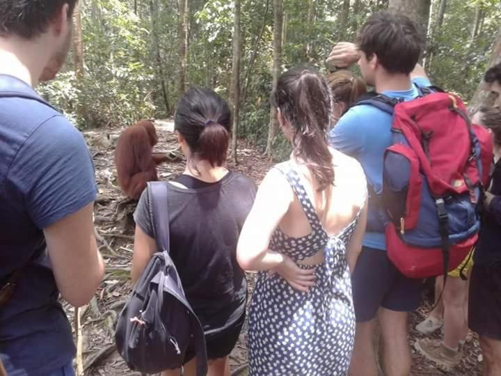 Orangutantreksumatra & Lovely Jungle Lodge Only Book If You Are Treking With Us Букіт-Лаванґ Екстер'єр фото