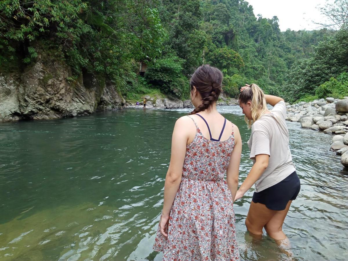 Orangutantreksumatra & Lovely Jungle Lodge Only Book If You Are Treking With Us Букіт-Лаванґ Екстер'єр фото