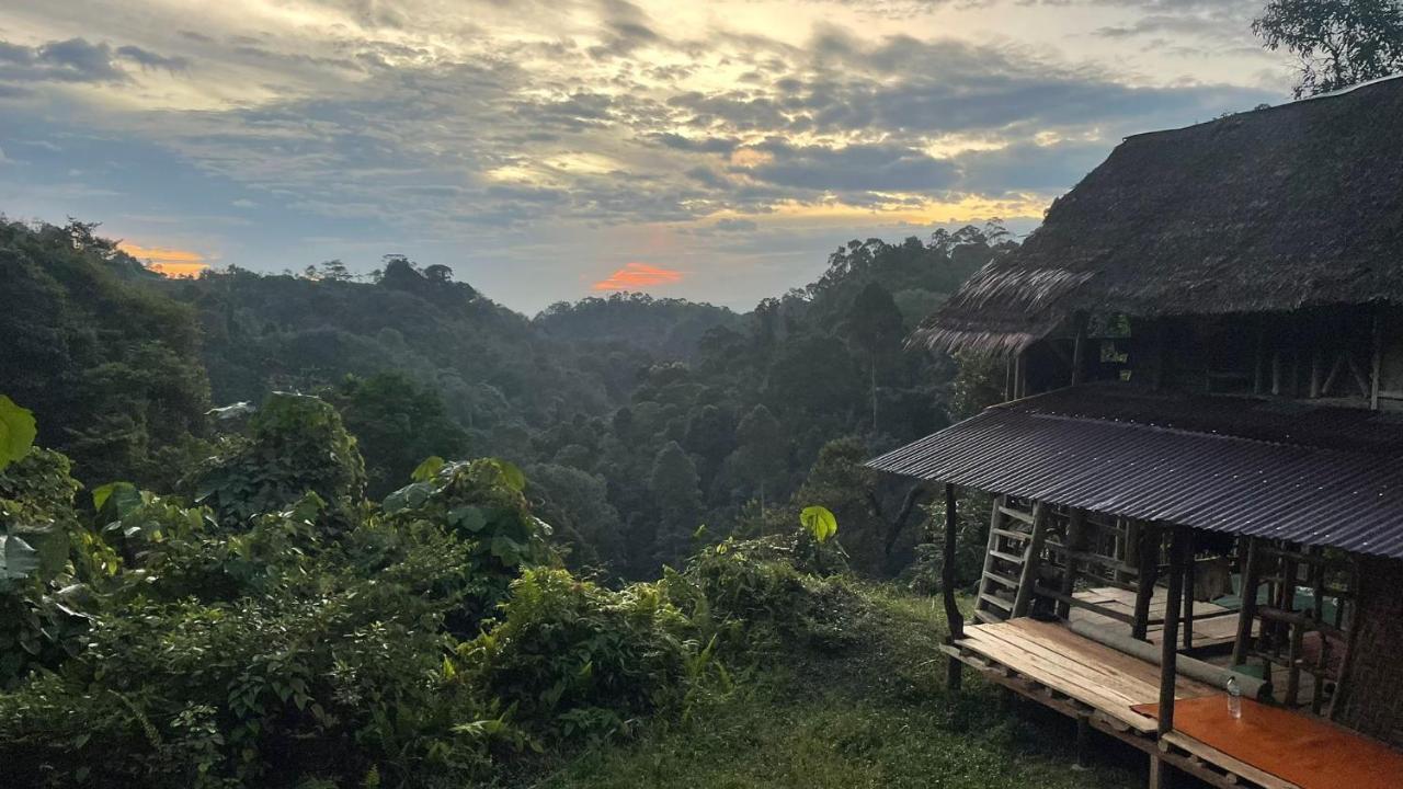 Orangutantreksumatra & Lovely Jungle Lodge Only Book If You Are Treking With Us Букіт-Лаванґ Екстер'єр фото