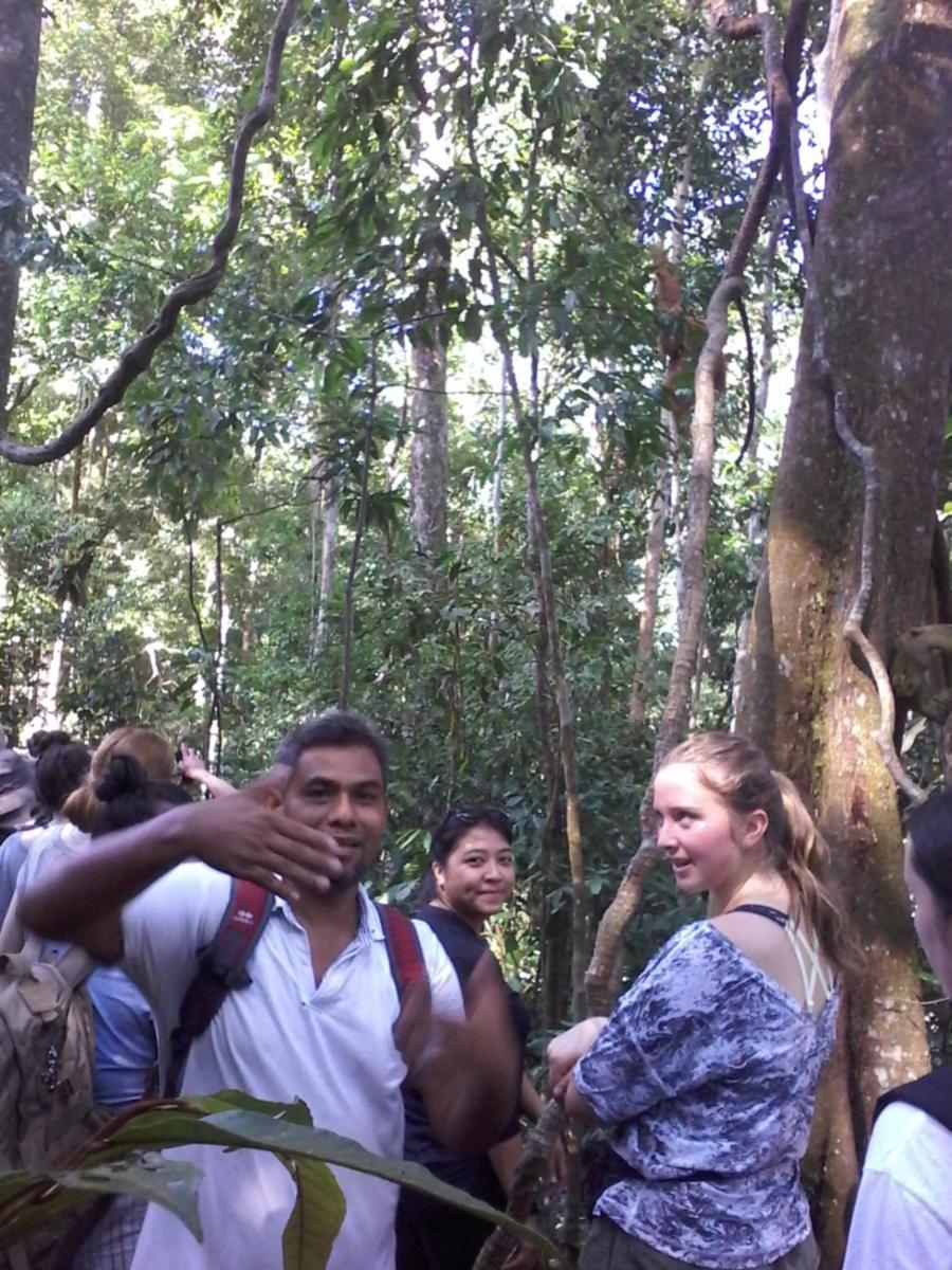 Orangutantreksumatra & Lovely Jungle Lodge Only Book If You Are Treking With Us Букіт-Лаванґ Номер фото