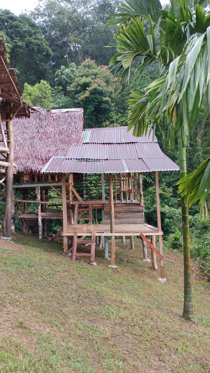 Orangutantreksumatra & Lovely Jungle Lodge Only Book If You Are Treking With Us Букіт-Лаванґ Екстер'єр фото