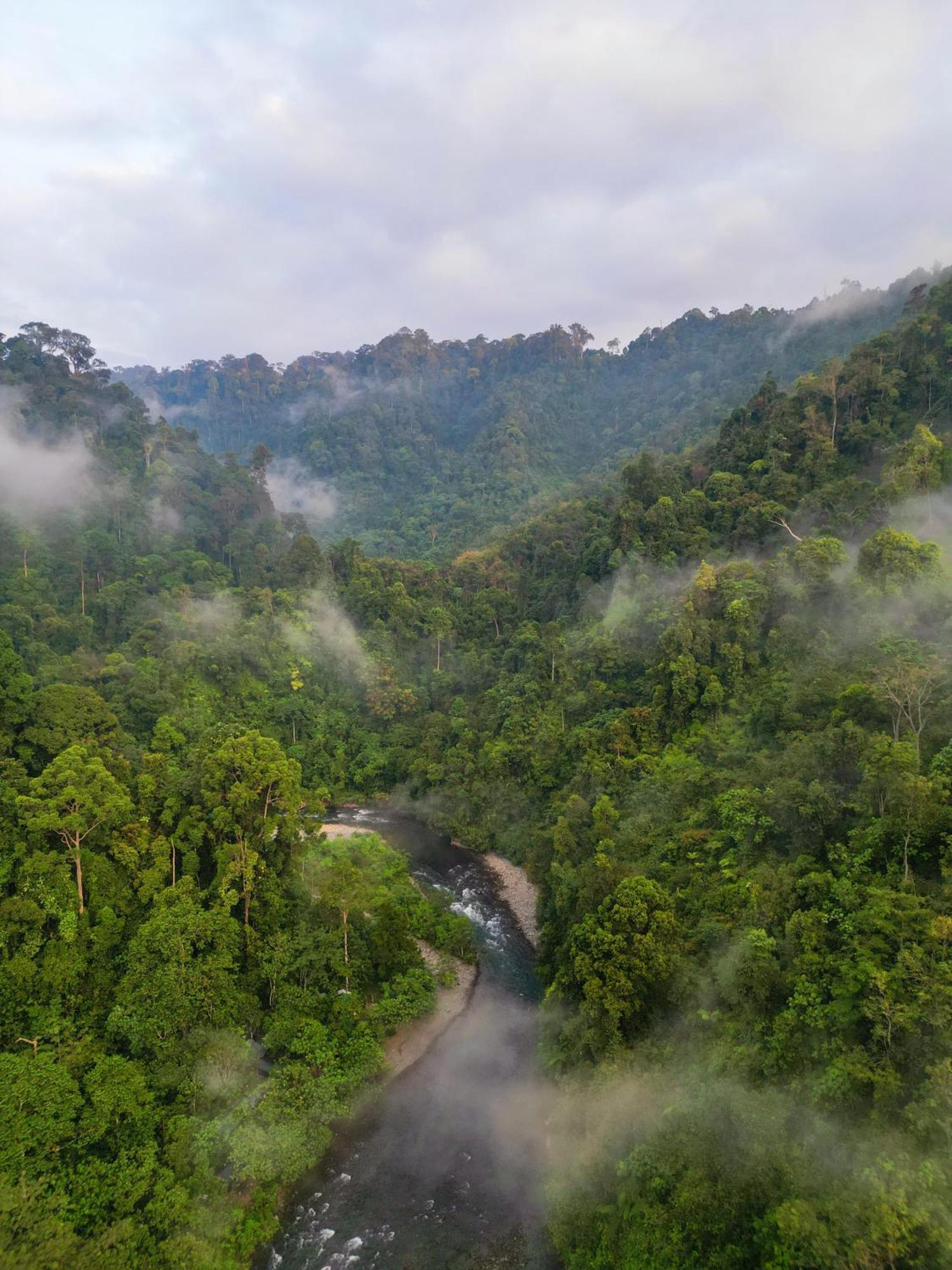 Orangutantreksumatra & Lovely Jungle Lodge Only Book If You Are Treking With Us Букіт-Лаванґ Екстер'єр фото