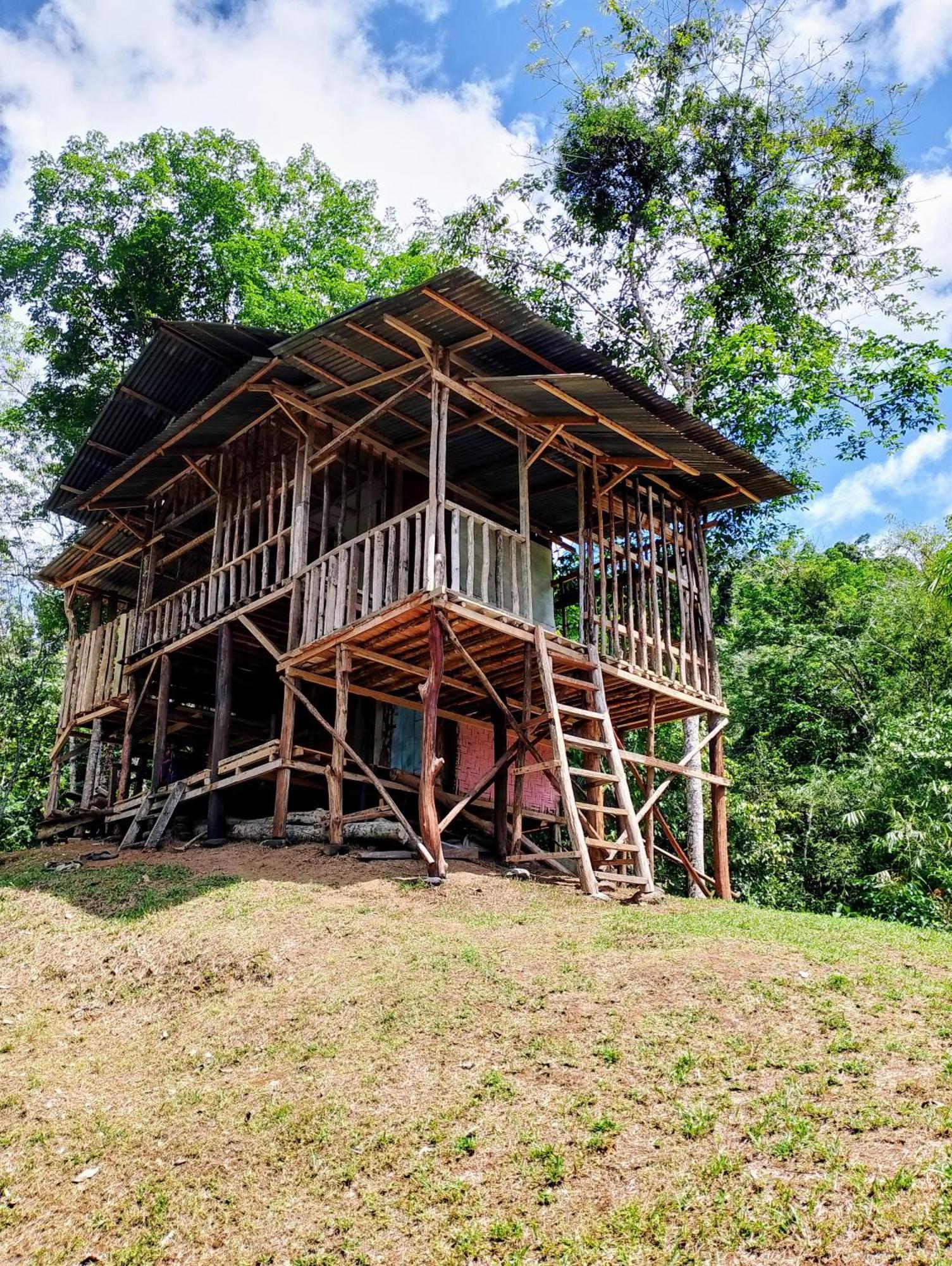 Orangutantreksumatra & Lovely Jungle Lodge Only Book If You Are Treking With Us Букіт-Лаванґ Екстер'єр фото
