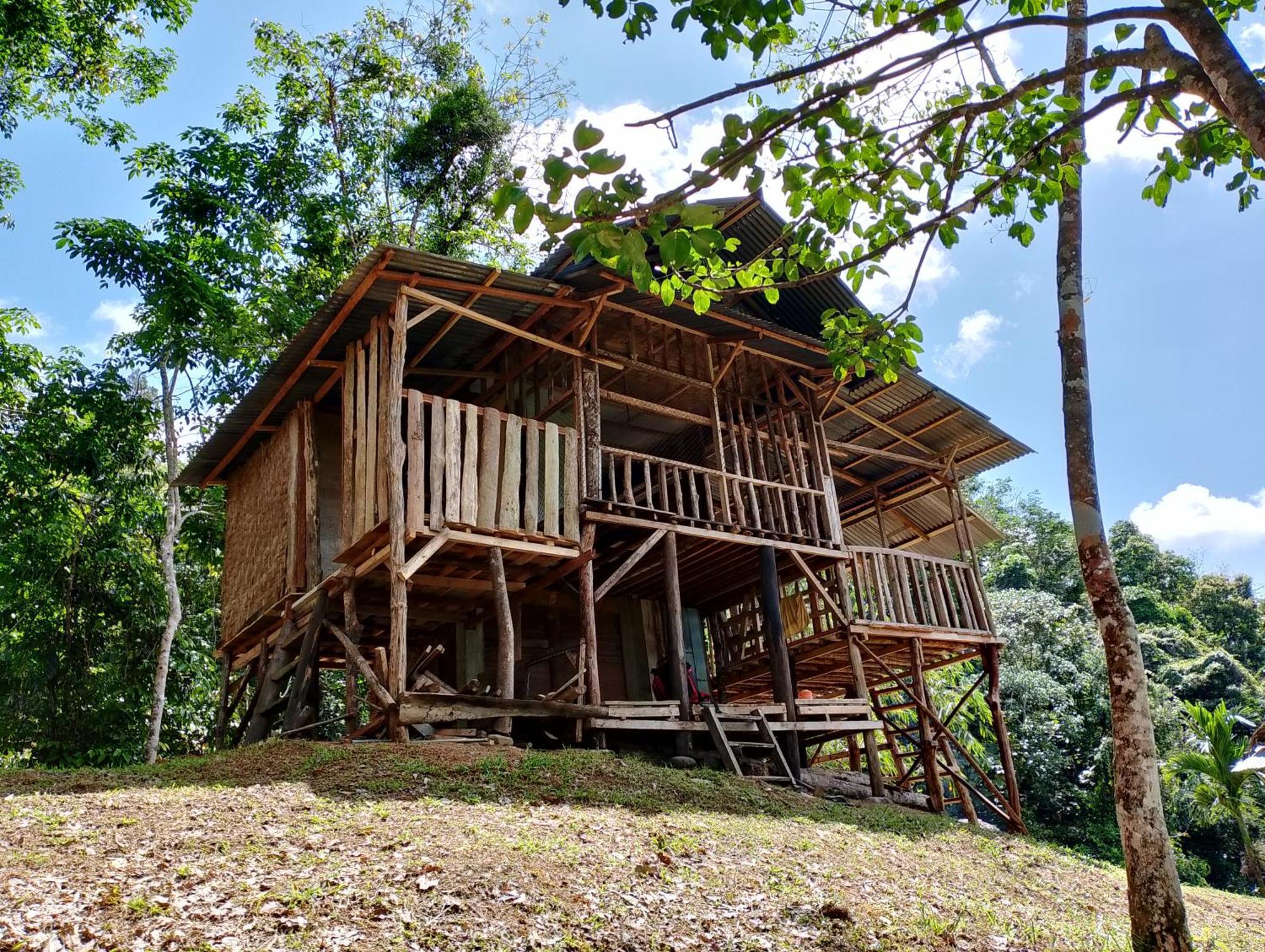 Orangutantreksumatra & Lovely Jungle Lodge Only Book If You Are Treking With Us Букіт-Лаванґ Екстер'єр фото